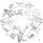 Recharge de 20 feuilles géantes – Coloriages enfants Little Friends