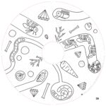 Recharge de 20 feuilles géantes – Coloriages enfants Little Friends