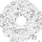 Recharge de 20 feuilles géantes – Coloriages enfants Drawin’kids® x OMY®