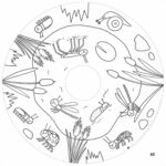 XXL Malbuch-Nachfüllpackung für Kinder – 10 Blatt – Im Garten (ab 2 Jahren)