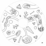 XXL Malbuch-Nachfüllpackung für Kinder – 10 Blatt – Im Garten (ab 2 Jahren)