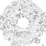 Nachfüllpackung für Kindermalbücher, 10 Blatt – OMY® Objekte &amp; Fantasie (ab 4 Jahren)